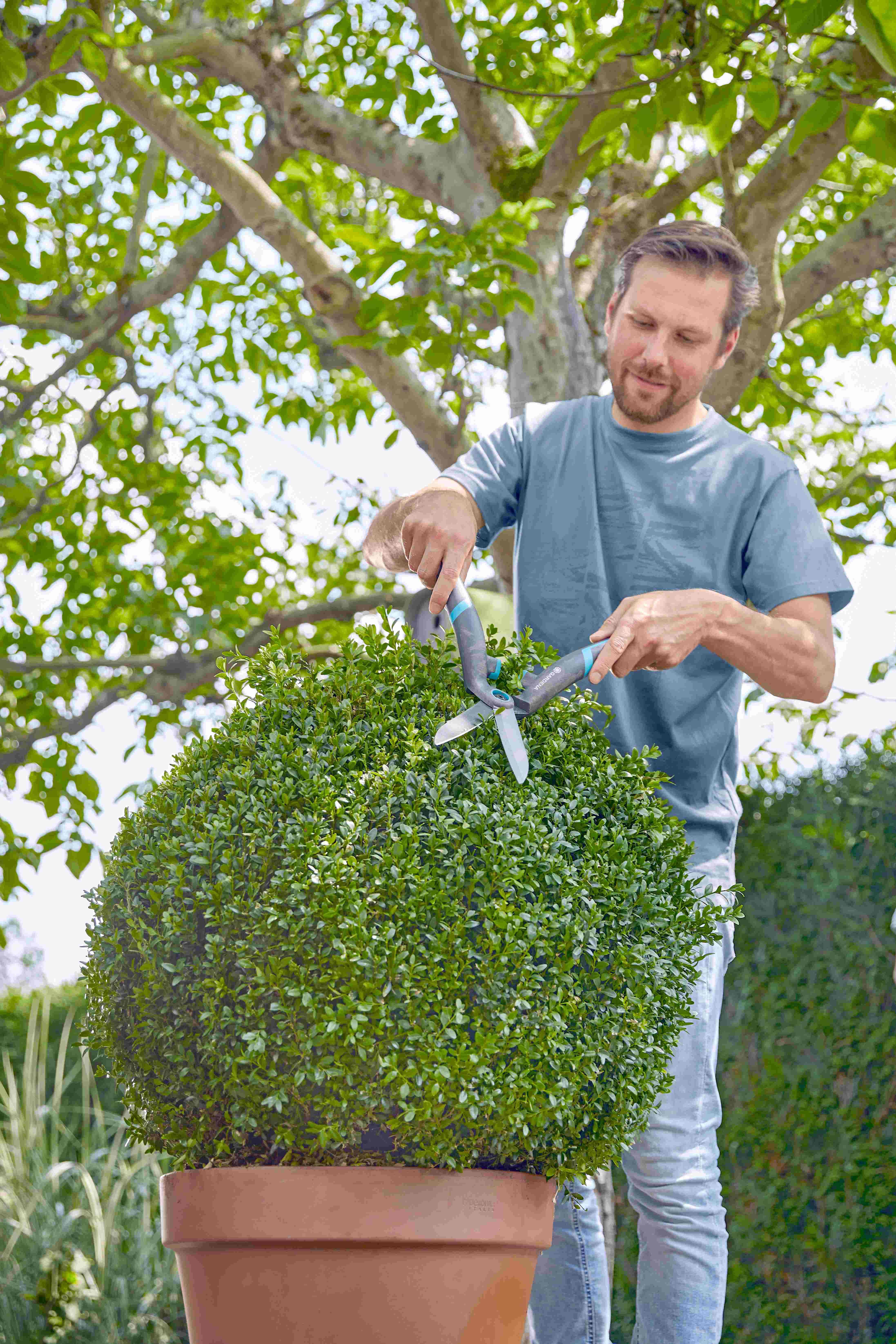 Alles over snoeien Alles over snoeien